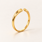 Initialen Ring